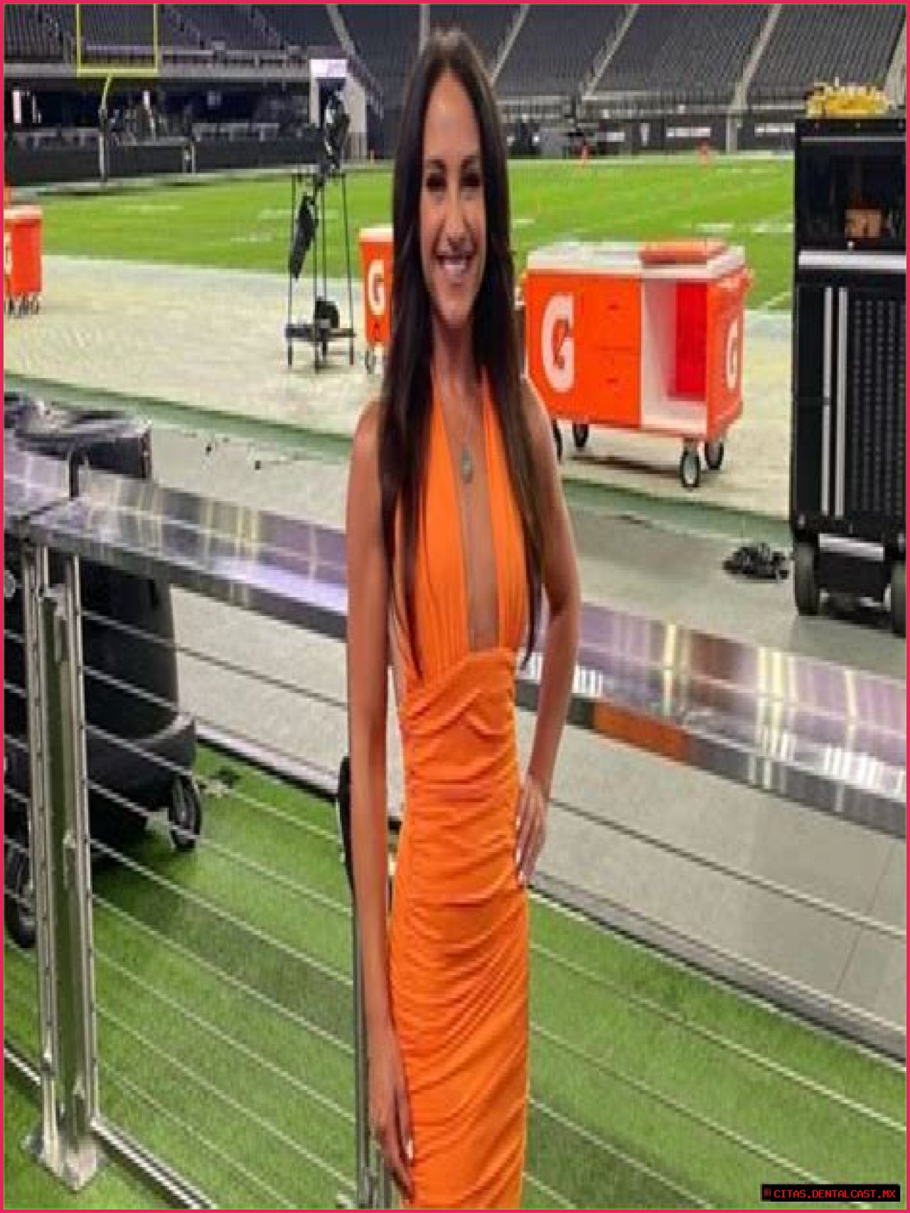 Emily Compagno: A Deep Dive Into Her Married Life