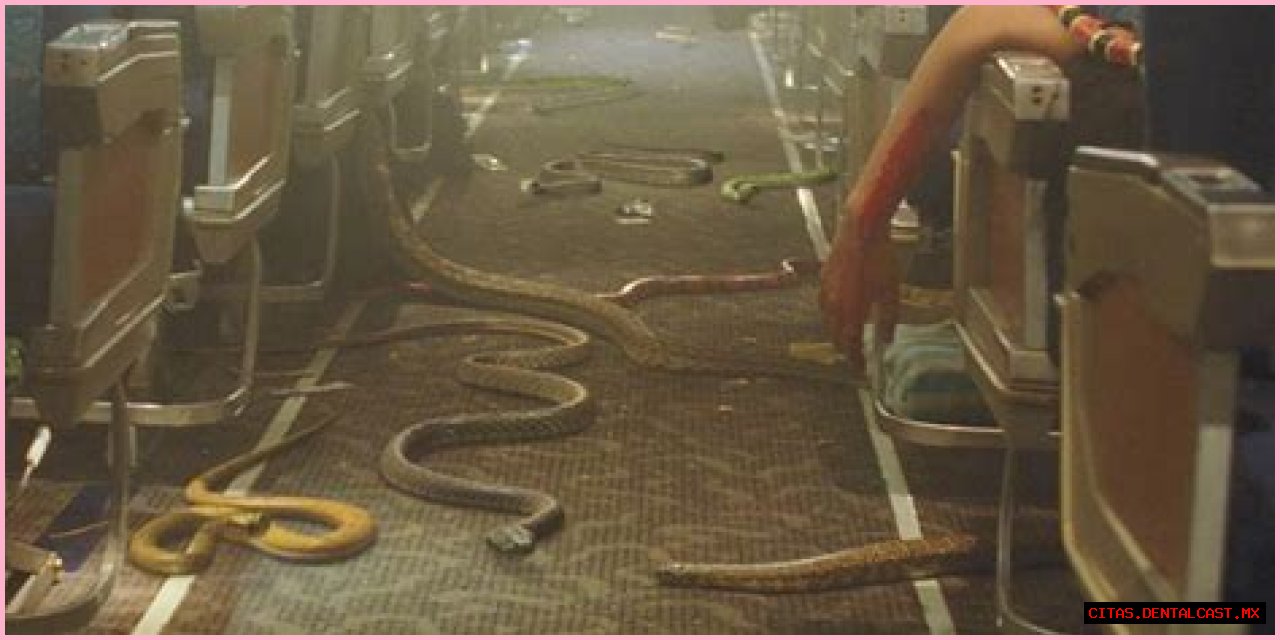 Is 'Plane' Rooted In Reality?